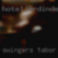 Swingers Tabor City